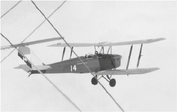 De Havilland DH.82A - Imagen 2