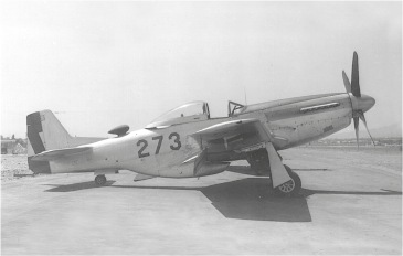 Mustang - Imagen 1