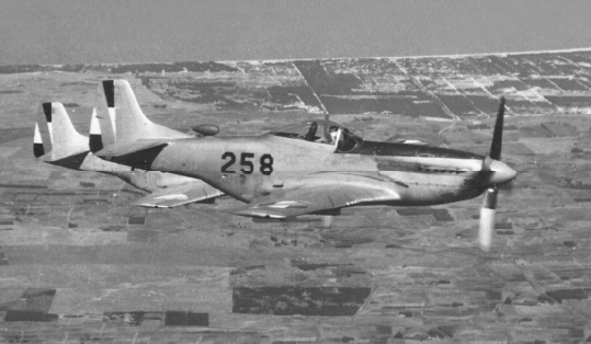 Mustang - Imagen 2